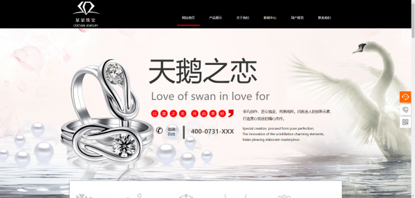 企業(yè)網(wǎng)站建設(shè)，視頻網(wǎng)站運(yùn)營(yíng)模式類(lèi)別