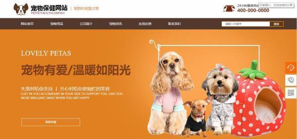 公司網站制作，明確建站目的和功能定位