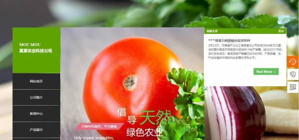 公司網站制作，2025年不可錯過的設計風格